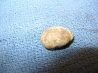 March 19th, 2012 Finds 010-1.webp