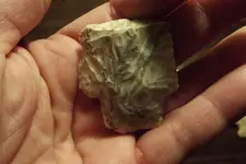 DSCF3223.webp