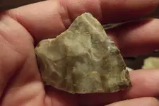 DSCF3229.webp