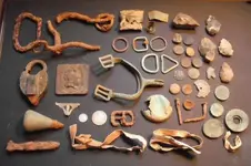 Field finds 3.webp