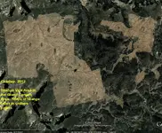 Strange Area.webp