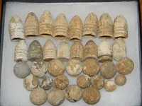 DSCN0671.webp