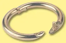 Bull_Nose_Ring.webp
