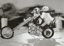 biker_chick.webp