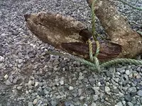 Fish quey anchor 012.webp