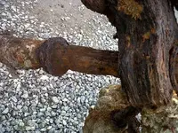 Fish quey anchor 013.webp