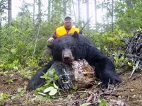 Silverdale Black Bear Harvest.webp
