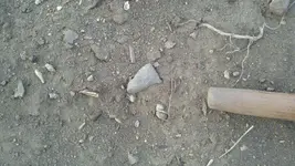 2012-03-19_19-08-54_880 (1024x577).webp