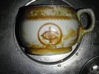 Cup.webp