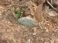 DSCN6130.webp