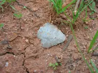 DSCN6135.webp