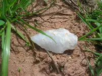 DSCN6136.webp