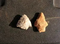 DSCN6142.webp