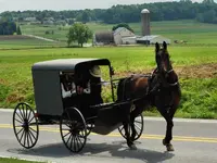 amish2.webp