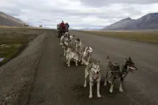 3852545439_0fb3f84bd8.webp