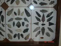 DSC02305.webp