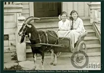 alberta-goat-cart-susan-maxwell-skinner-840x600-550x392.webp