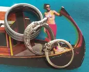 rings.webp