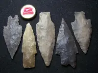 1-10-2012 023tnet.webp