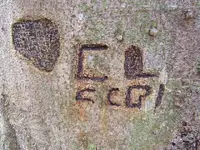 DSCF2051.webp