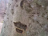 DSCF2052.webp