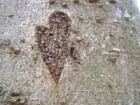 DSCF2053.webp