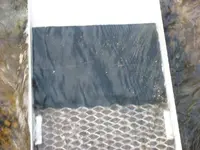 Image4.webp