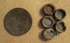 What Is It Lead Roofing caps - Rezized Based On The Quarter ( (400x249) (300x187).webp