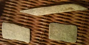 bonetools1.webp