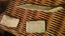 bonetools2.webp