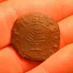 NH FINDS 02-23 copy.webp