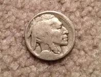 Buffalo-cropped-resized.webp