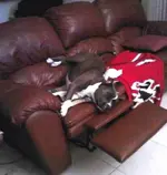 MerryXxx.webp