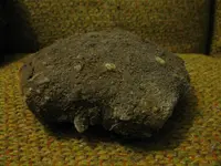 IMG_0357 (Medium).webp