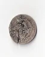 1824 Capped Dime (Back) (656 x 832).webp