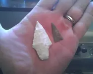 sat finds.webp