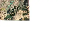 stoned.webp