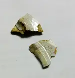 porcelain plate.webp