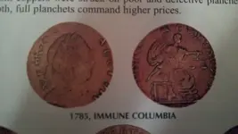 immune 1785a.webp