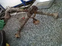 scale anchor 010.webp