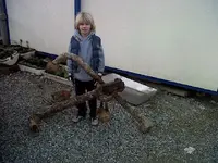 scale anchor 011.webp