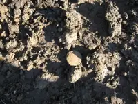 Lake hunt jan 2012 026.webp