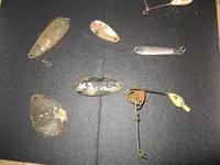 Lake hunt jan 2012 037.webp