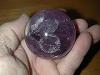DSCN2888a.webp