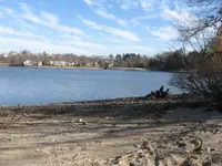 Lake hunt jan 2012 002.webp