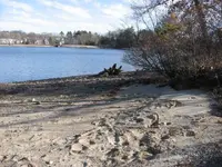 Lake hunt jan 2012 005.webp