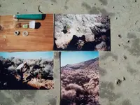 Mohave Emeralds 002.webp