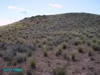 15. End of hill At turte..webp