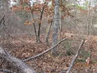 Site 257.webp Site 257.webp