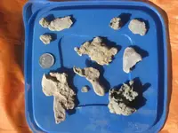 silver slag.webp